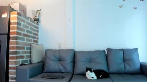 Emma Brant online show from 02-18-26, 12:34