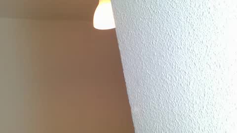 emmie online show from 01-28-25, 08:25