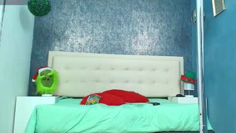 Snapshot of erick_zhimerman chatting on 11-30-25, 03:43 online show from 11-30-25, 03:43