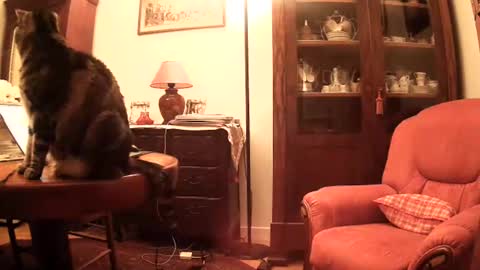 Snapshot of ericstephcam31 chatting on 11-26-25, 10:05 Steph et Eric online show from 11-26-25, 10:05