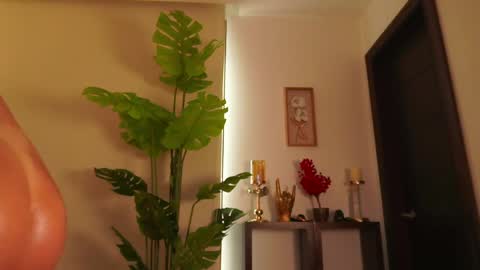 Snapshot of erikabee chatting on 06-05-26, 08:14 Venus Skye online show from 06-05-26, 08:14