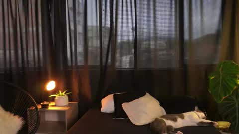 Eros Wild online show from 12-16-25, 09:53