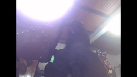 Snapshot of eskelaswd chatting on 02-16-25, 05:37 Eskela911 online show from 02-16-25, 05:37