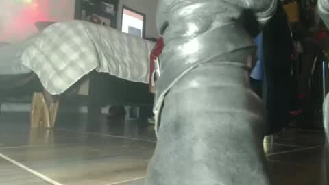 Snapshot of eskelaswd chatting on 10-06-25, 07:44 Eskela911 online show from 10-06-25, 07:44