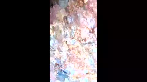 Snapshot of esteralcantara chatting on 02-09-26, 05:50 esteralcantara online show from 02-09-26, 05:50