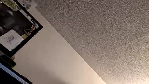 et528007 online show from 11-07-25, 05:07