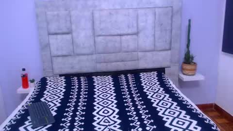 Snapshot of ethan_villa chatting on 02-04-25, 03:57 Ethan Villa online show from 02-04-25, 03:57