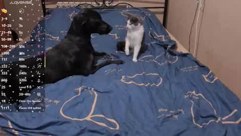 Eva online show from 03-03-26, 02:01