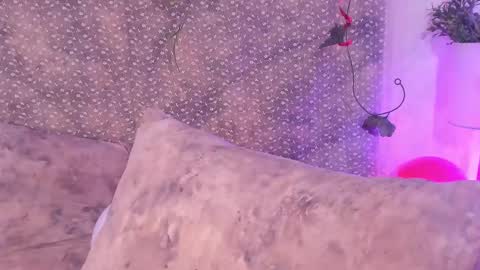 Evan Smitt online show from 02-15-25, 04:23