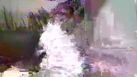 Naaktloper online show from 02-09-26, 03:49