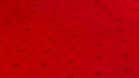 Snapshot of experiencedalana chatting on 12-09-24, 12:12 Alana online show from 12-09-24, 12:12