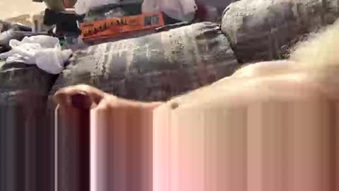 Snapshot of exploreyou chatting on 03-08-26, 03:10 exploreyou online show from 03-08-26, 03:10