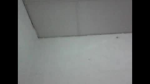R online show from 05-01-26, 04:39
