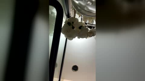 Snapshot of fabiolacal11 chatting on 02-28-26, 05:52 fabiolacal11 online show from 02-28-26, 05:52