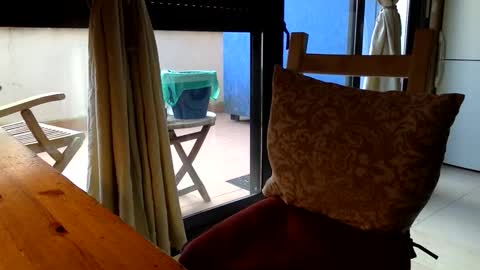 Fabro online show from 03-13-26, 07:48