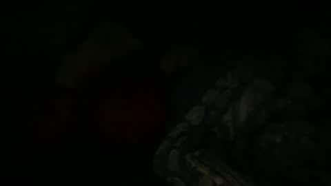 FABX online show from 01-06-25, 09:22