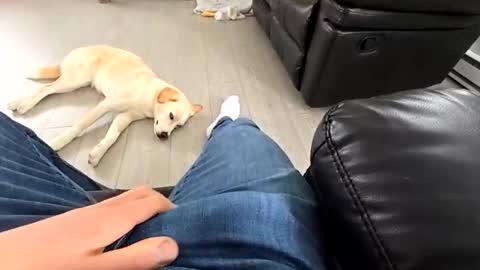 faker1414 online show from 03-19-26, 03:49