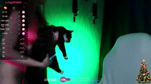 my name is Masha online show from 12-20-24, 09:39