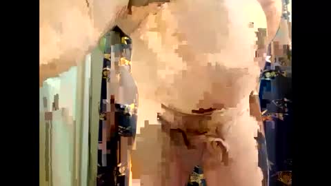 fatcat5000 online show from 12-11-24, 09:45