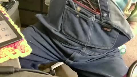 Snapshot of fatfreddythecat chatting on 01-03-25, 08:32 Fred. online show from 01-03-25, 08:32