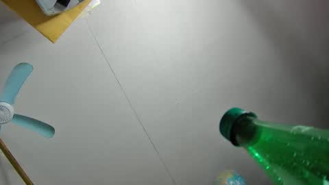 Snapshot of fatfreddythecat chatting on 02-19-25, 12:25 Fred. online show from 02-19-25, 12:25