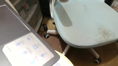 Snapshot of fatfreddythecat chatting on 11-07-25, 08:53 Fred. online show from 11-07-25, 08:53