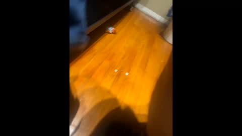 Snapshot of fatz71056 chatting on 10-16-25, 10:16 fatz71056 online show from 10-16-25, 10:16