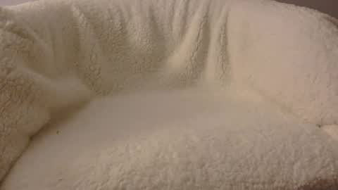 feels_too_good online show from 04-09-26, 02:11