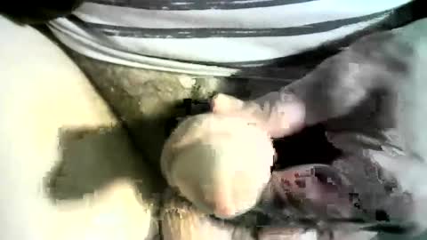 felicaste online show from 03-08-25, 12:22