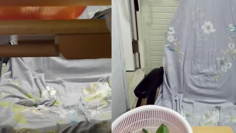 Snapshot of felixlau chatting on 02-18-25, 11:55 felixlau online show from 02-18-25, 11:55