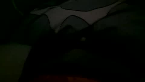 Snapshot of felixske chatting on 11-01-25, 10:06 felixske online show from 11-01-25, 10:06