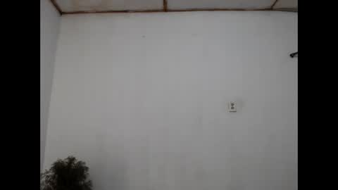 fernandez_latinblack online show from 12-31-24, 11:28
