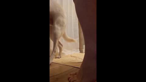 fetishdad863 online show from 04-17-26, 01:58