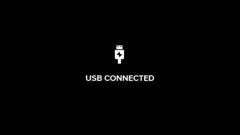 Logan online show from 05-26-26, 03:57