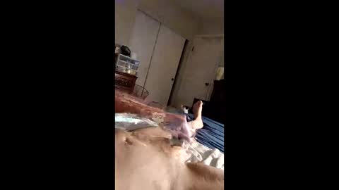 figaro62026 online show from 04-27-26, 10:35