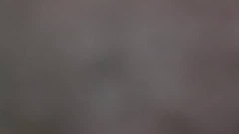 Snapshot of filos17 chatting on 02-04-25, 04:29 filos17 online show from 02-04-25, 04:29