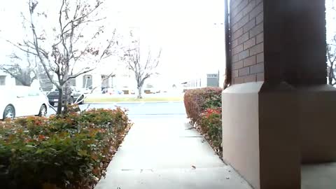 Snapshot of fit_hung_sub chatting on 12-16-24, 05:33 pain slut daren online show from 12-16-24, 05:33