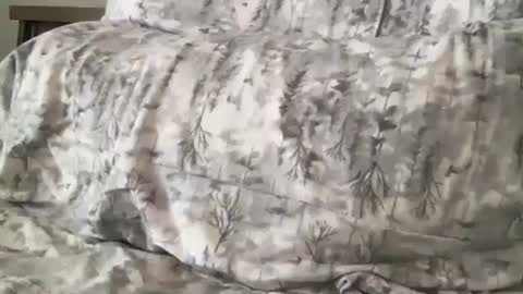 Snapshot of fitcollegestudxx chatting on 02-17-25, 07:21 FitCollegeStudxx online show from 02-17-25, 07:21