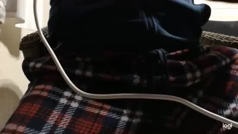 Snapshot of flowerpower622 chatting on 01-06-26, 10:23 flowerpower622 online show from 01-06-26, 10:23