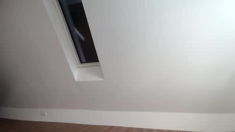 flowster221 online show from 12-20-25, 01:18