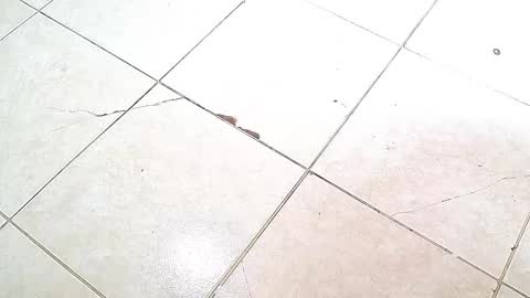 Snapshot of flyckers chatting on 10-06-25, 08:06 flyckers online show from 10-06-25, 08:06