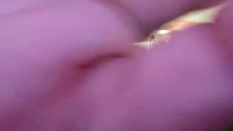 focusfuker online show from 11-14-25, 11:13