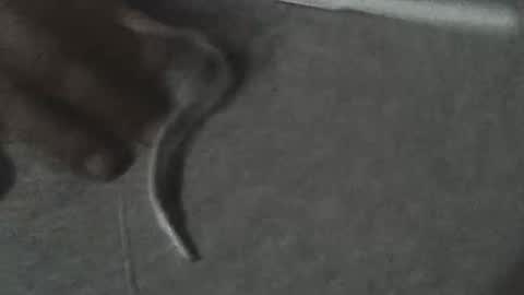 Snapshot of fonixxx69 chatting on 03-22-26, 03:21 fonixxx69 online show from 03-22-26, 03:21