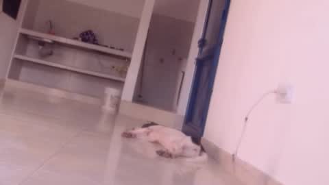 emely and felix online show from 12-27-24, 10:05