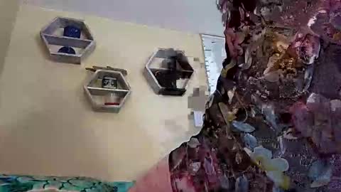 foxyanjel online show from 10-27-25, 04:00