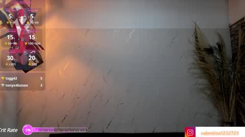          online show from 01-11-25, 09:26