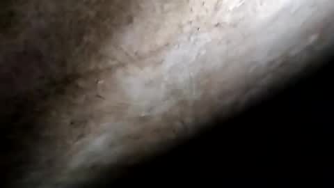 Snapshot of francis158915 chatting on 04-04-26, 05:32 francis158915 online show from 04-04-26, 05:32