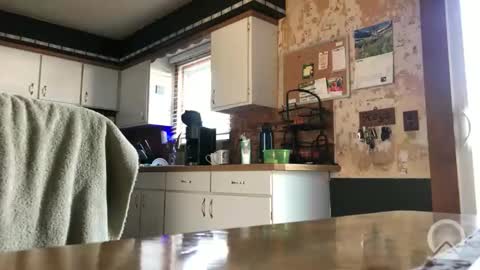 Frank online show from 04-08-26, 12:38