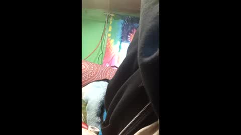 frankie1961slaight online show from 03-19-26, 02:54