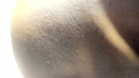 Kandy online show from 03-14-26, 08:09